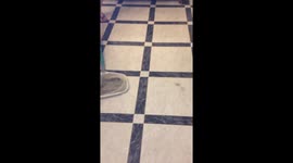 @ThomsonHolidays is this really acceptable??? Extremely disappointed in your customer service https://t.co/pkVvO3Wqai