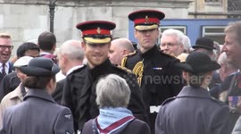 Prince Harry leaving Remembrance Day memorial