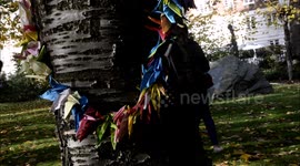 Peace pledge wreaths on remembrance day