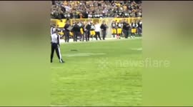 American football player Clay Matthews gets scared by squirrel