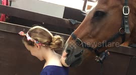 If you scratch my back, I'll scratch yours! Horse 'massages' owners back