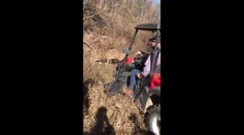 Bucks tangled together rescue