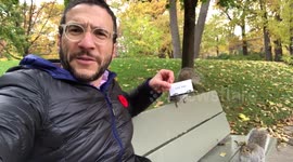 Newsflare Edit - Squirrel takes man's business card