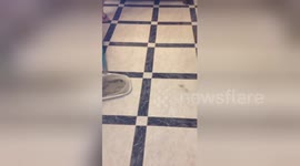 Newsflare Edit - @ThomsonHolidays is this really acceptable??? Extremely disappointed in your customer service