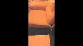 Mouse in sofa nightmare