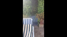 Overgrown pool shower burst pipe