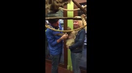 Sloth engagement proposal