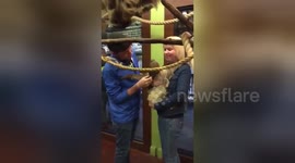 Man proposes to girlfriend surrounded by sloths