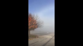 FogBow