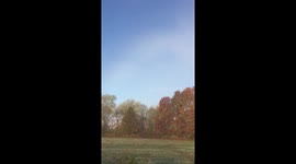 Fogbow