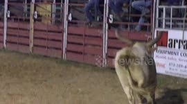 Mexican Bull Fight