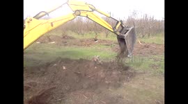 WOOD preparing for winter