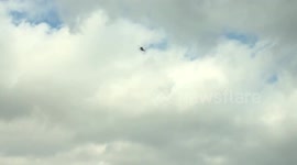 Greek Police protect Barack Obama (helicopter)