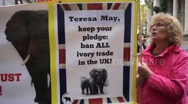 Animals right activists protest against ivory trade