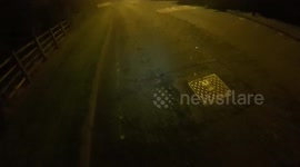 Helpful motorcyclist beeping his horn behind a horse