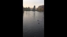 Misty morning by london buckingham palace