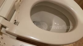 Crazy Japanese Toilet!