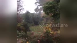 Newsflare Edit - Midlands Mini Tornado