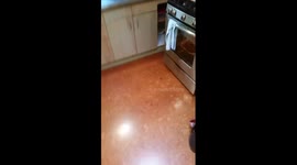 Thanksgiving Fail 2015