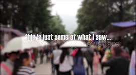 Chinese Market Exposed (Tiger Claw, Baby Turtles & More)