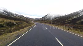 Grouse slowly crossing the A93 down Glenshee Scotland towards Braemar