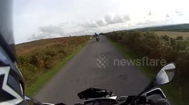 Motorcycle bird strike