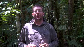 Paititi Expedition: Base Camp Tour