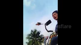 Amazing video of parrot flying alongside motorcycle