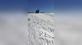 Newsflare Edit - Boy crashes into bushes during first solo sledge run