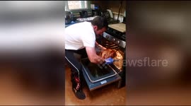 Man almost starts kitchen fire while cooking Thanksgiving dinner