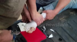 Redneck Dr. at your services