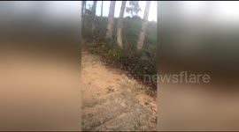 British tourists get surprised by ENORMOUS spider in the Dominican Republic