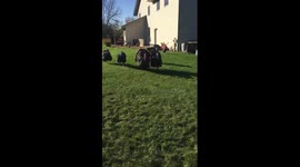 Turkey attack