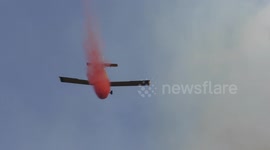 Airplane drops fire retardant on a forest in Haifa, Israel.