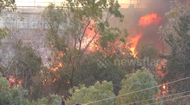 Trees catch fire near high rise residential building.