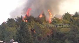 Trees catch fire near houses and residential buildings.