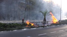 Firefighter fights fire in a street in Haifa, Israel.