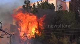 Trees catch fire near houses and residential buildings.