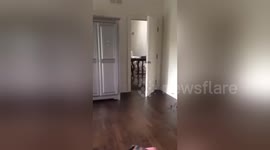 Newsflare Edit - The Best Wake up call