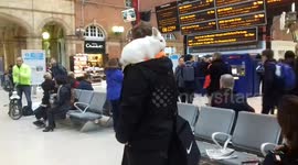 Man at London train station with rabbit on his shoulder