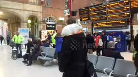 Newsflare Edit - Man at London train station with rabbit on his shoulder