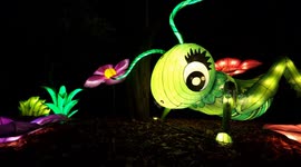 Cool 'Magical Lantern' festival in Birmingham, UK
