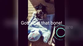 Newsflare Edit - Ziggy and the bone