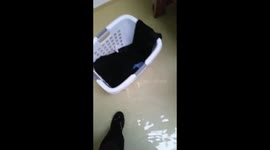 The Lake That Was Our House