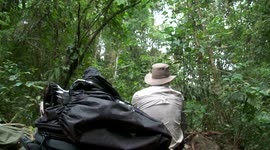 Paititi Expedition: Pestered by flies