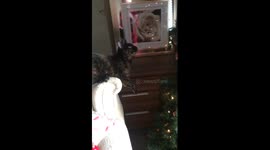 CUTE CAT KNOCKS OVER CHRISTMAS TREE