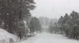 Heavy snow falling in northern Arizona