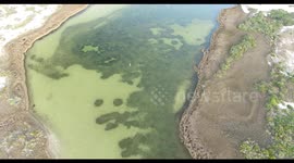 Drone finds fish.
