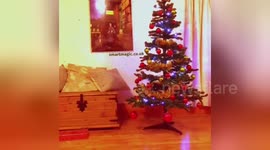 Newsflare Edit - Christmas Presenta Life Hack