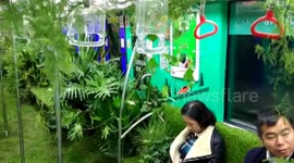 Underground train turned into 'rainforest'